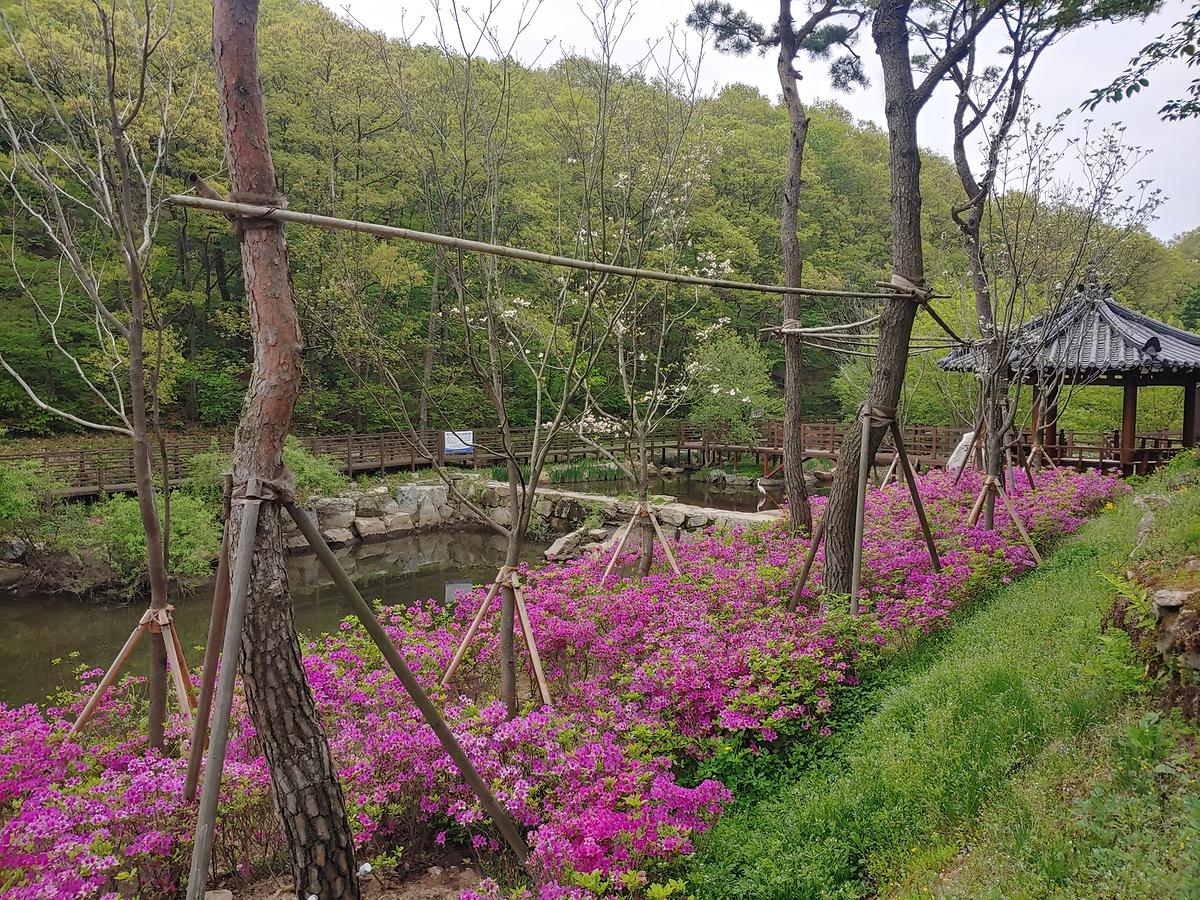 guidmap 게시글 의 m5.jpg 사진