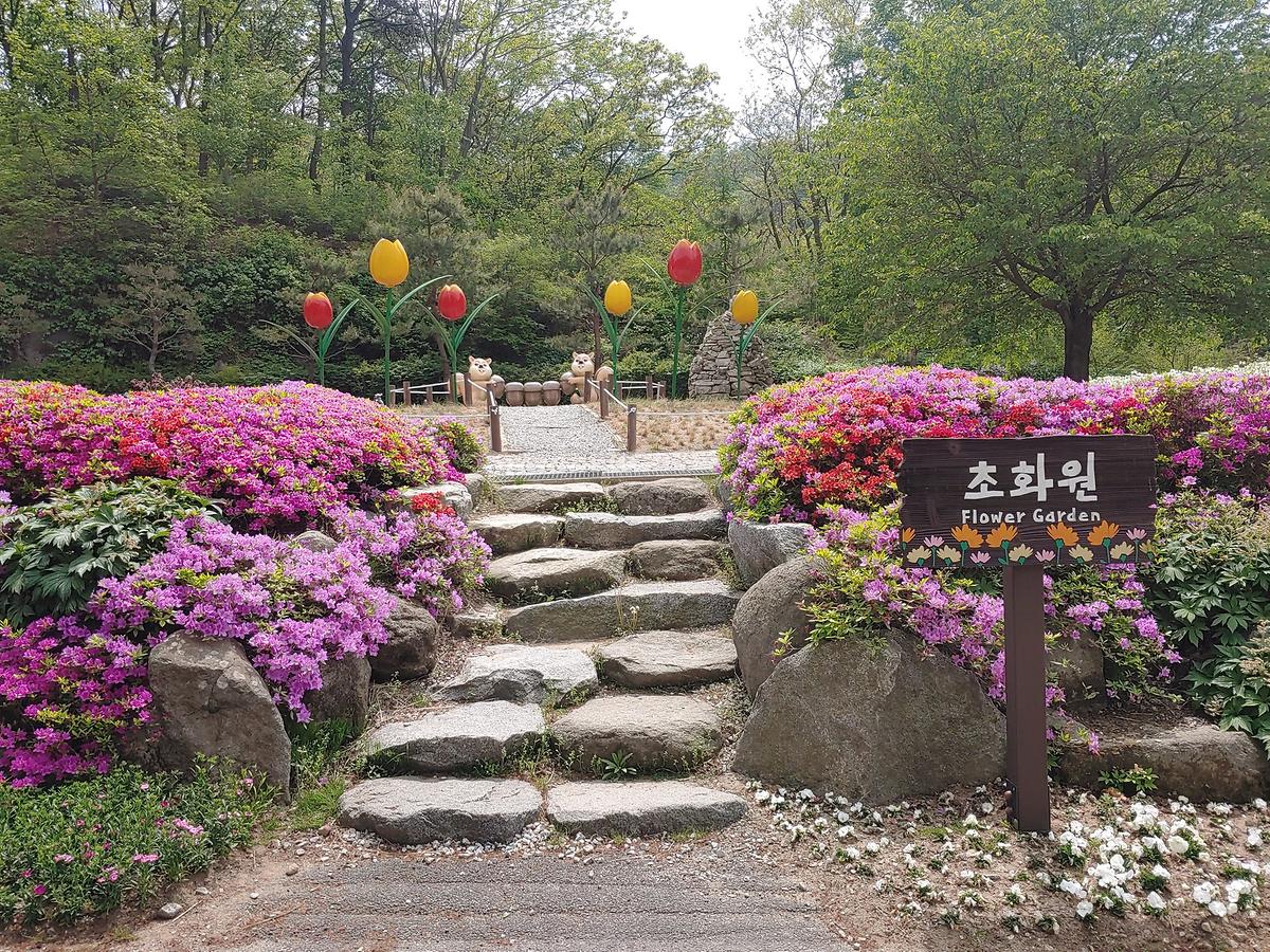 guidmap 게시글 의 m56.jpg 사진