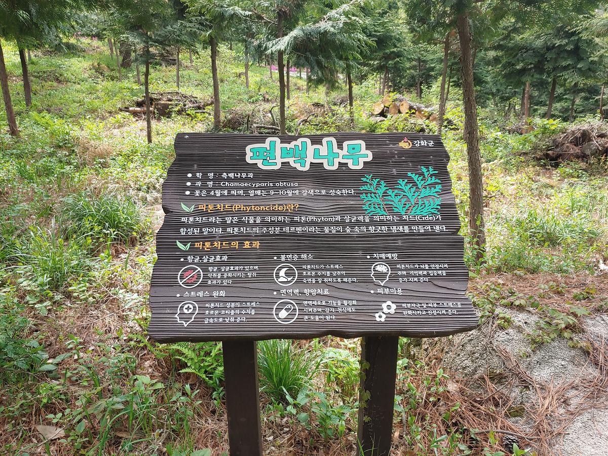 guidmap 게시글 의 m58.jpg 사진