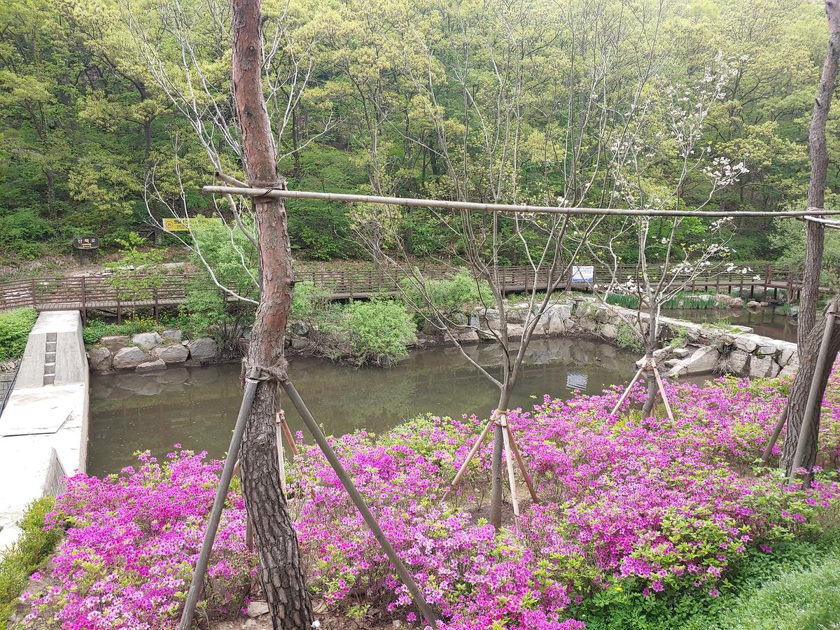 guidmap 게시글 의 m6.jpg 사진