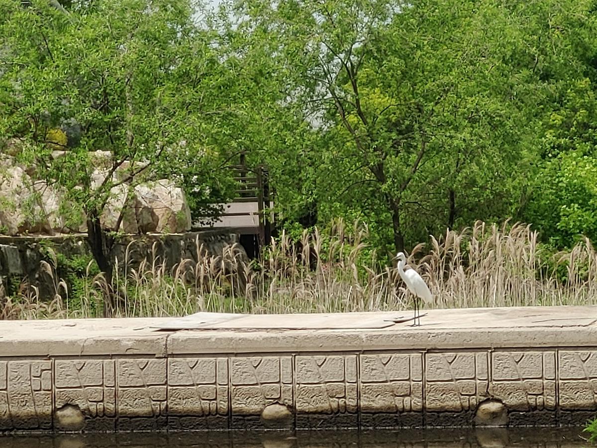 guidmap 게시글 의 m7.jpg 사진