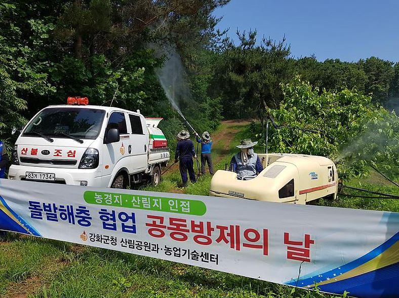 돌발해충_방제
