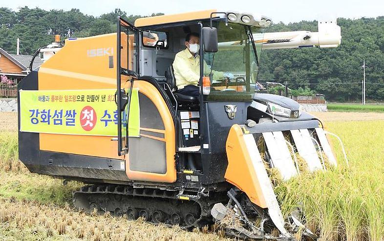 강화섬쌀_첫_수확1