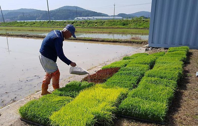 벼_병해충_방제약제