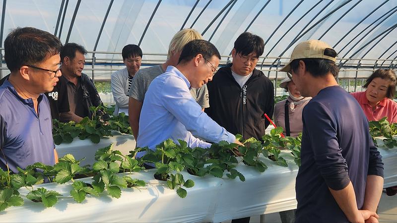 강화섬_시설딸기_컨설팅_(1)