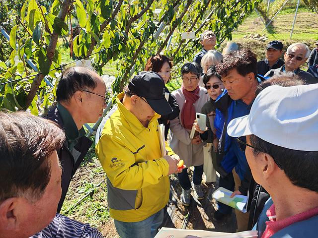 강화섬자두_영농현장_컨설팅_(1)