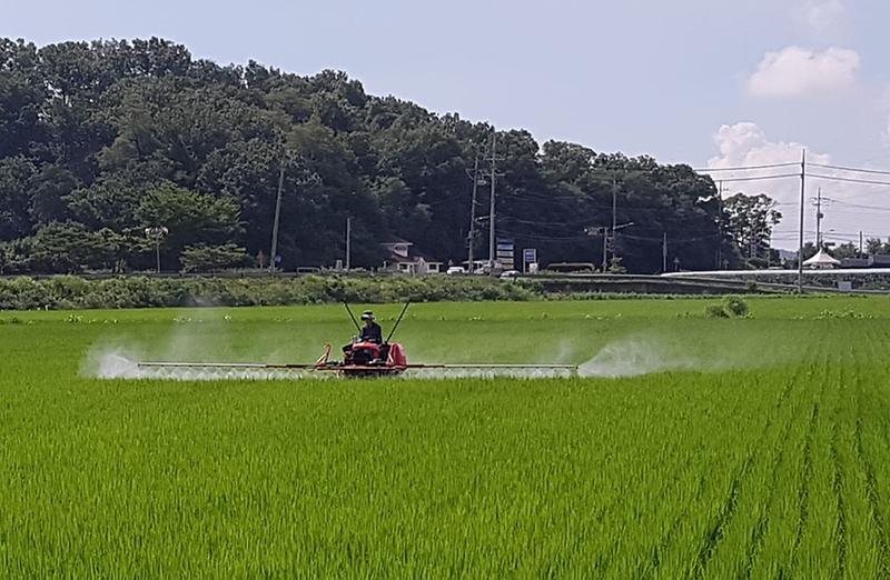 벼_병해충_방제_(1)