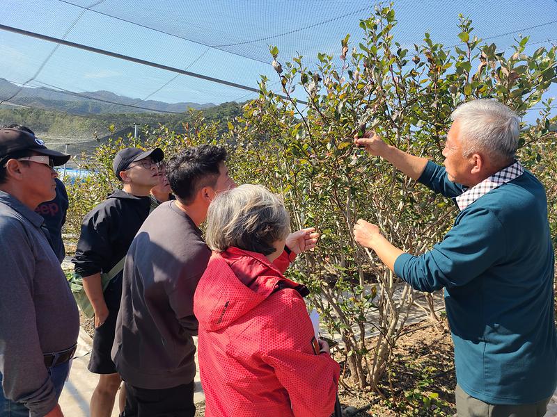 강화군농업아카데미_교육생_모집_(1)