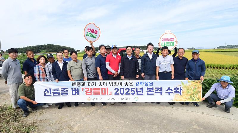 강화군,_강들미_추수현장(1)