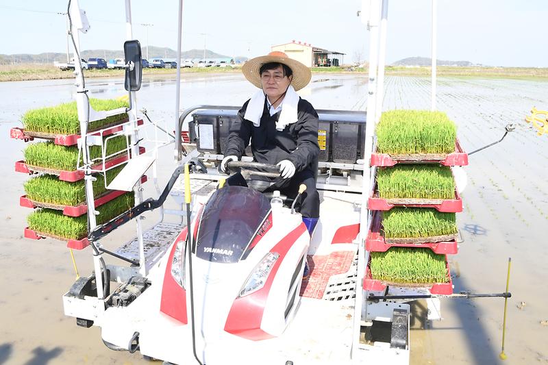 강화군,_올해_첫_모내기