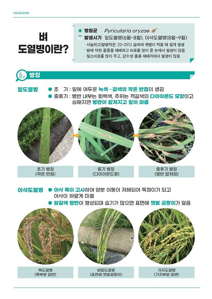 벼_도열병_관리_가이드(리플릿)_2