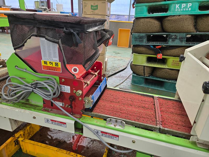 강화군,_“벼_병해충_방제_약제_지원_신청하세요”(육묘상자에_약제가_도포된_모습)