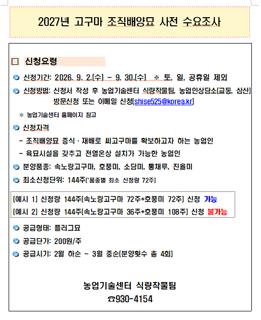 고구마20260914_190257