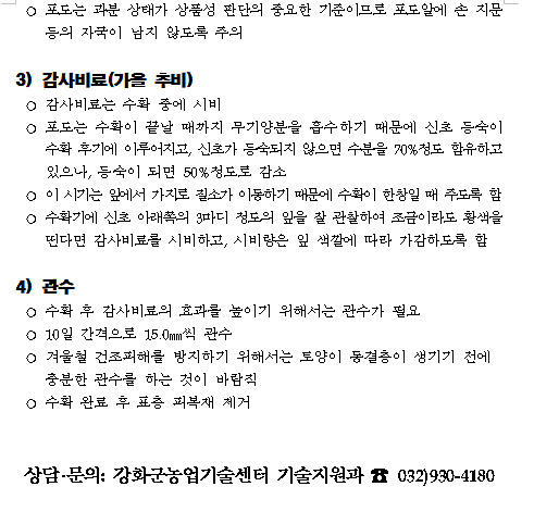 포도3__20260914_190050