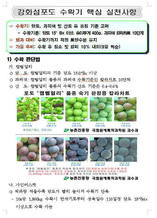 포도_1_20260914_190019