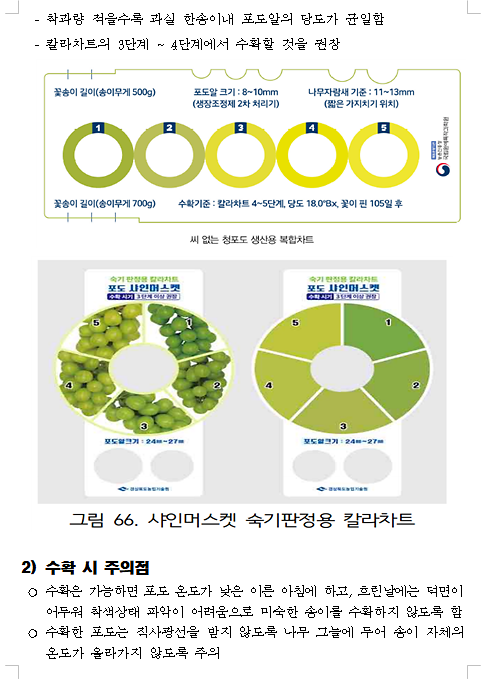 포도_20260914_190037