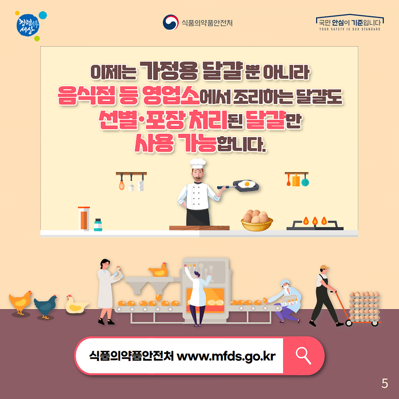 식용란 선별 · 포장 유통제도 확대 안내