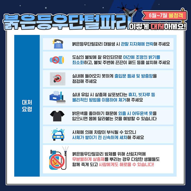붉은등우단털파리(러브버그) 대처법