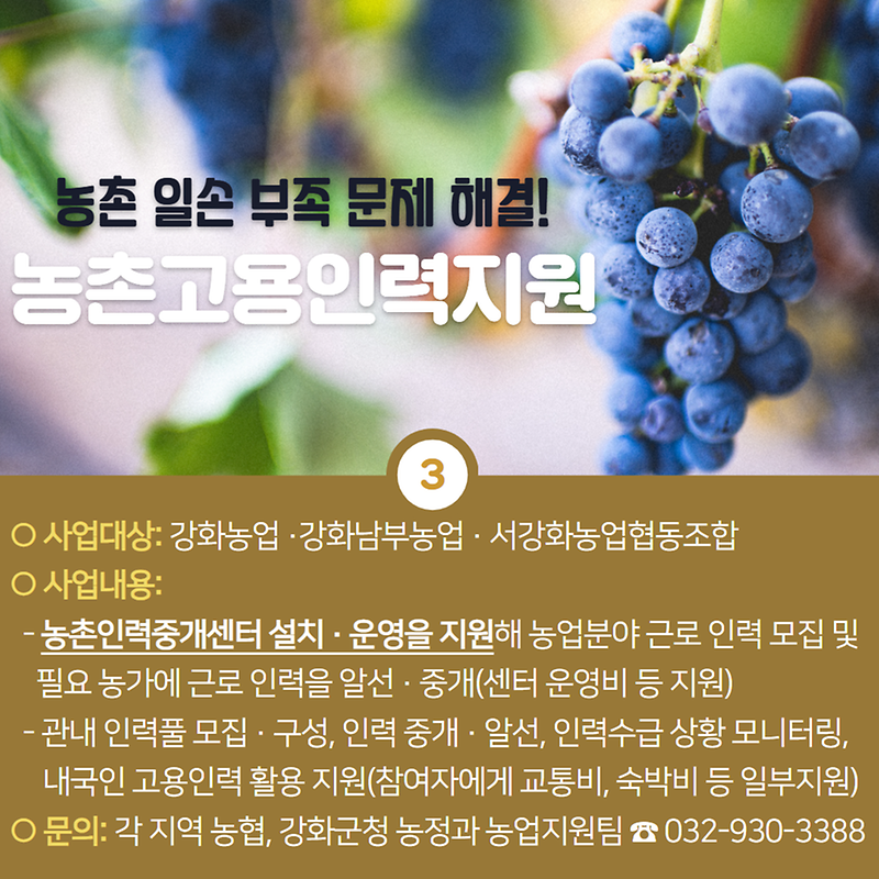 강화군이 쏜다 제1탄! 농업분야