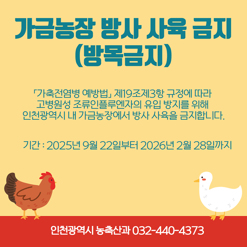 가금농장 방사 사육 금지 사진
