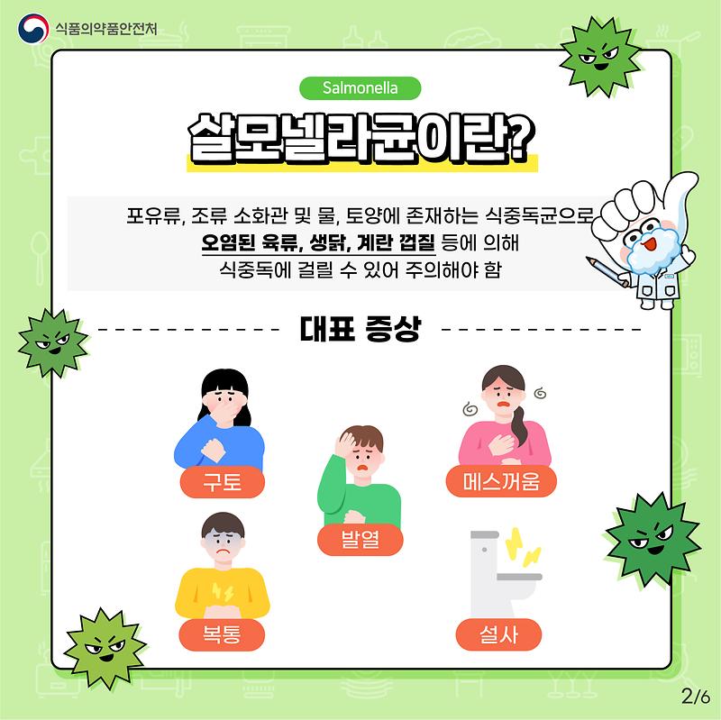 살모넬라 식중독 주의하세요!