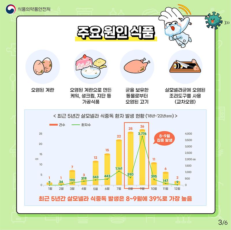 살모넬라 식중독 주의하세요!