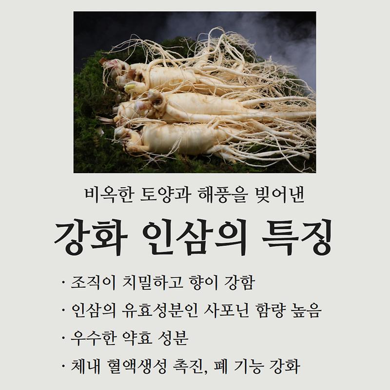 뿌리 깊은 역사 "강화 인삼"