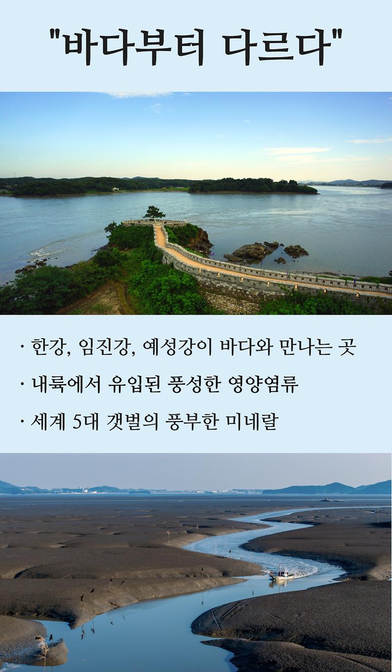 강이 바다를 만나, 맛이 되다 "강화 새우젓"