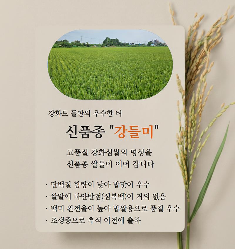 바다, 토양, 햇살이 만든 "강화섬쌀"