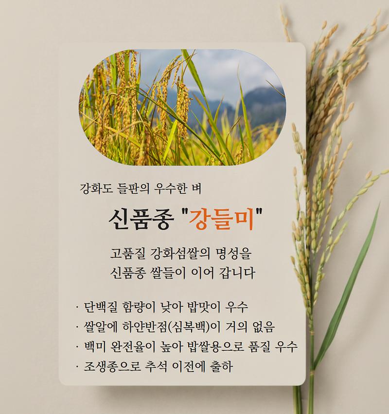 바다, 토양, 햇살이 만든 "강화섬쌀"