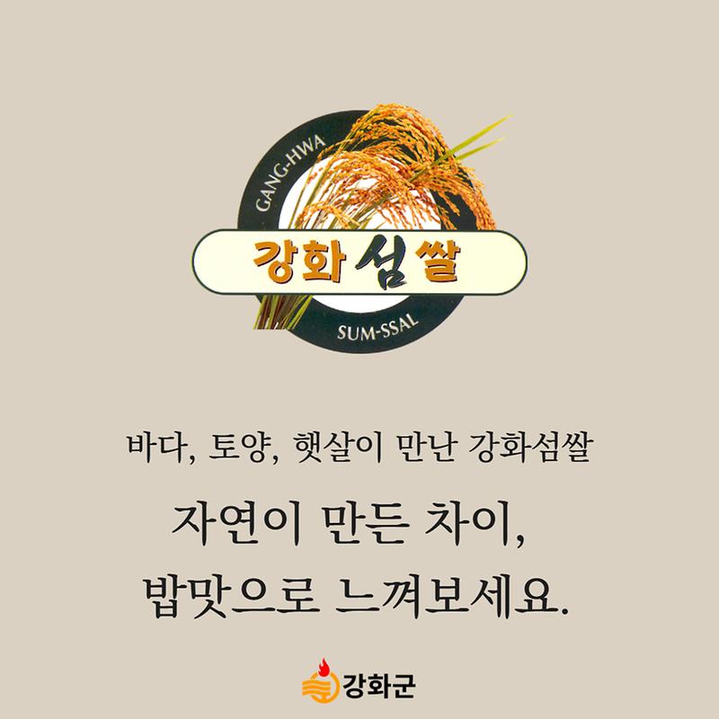 바다, 토양, 햇살이 만든 "강화섬쌀"
