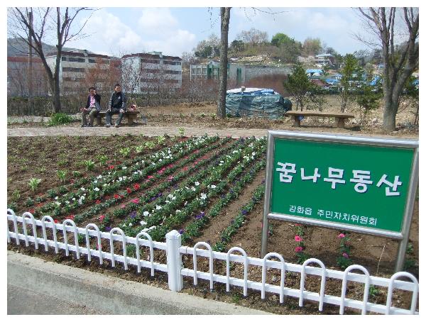 주민자치위원활동_031