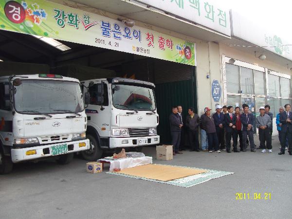 1_11년오이출하식_003