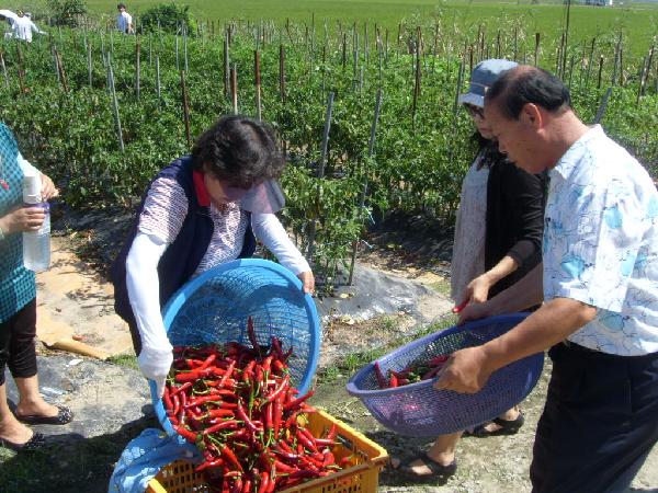 만수3동_농촌체험