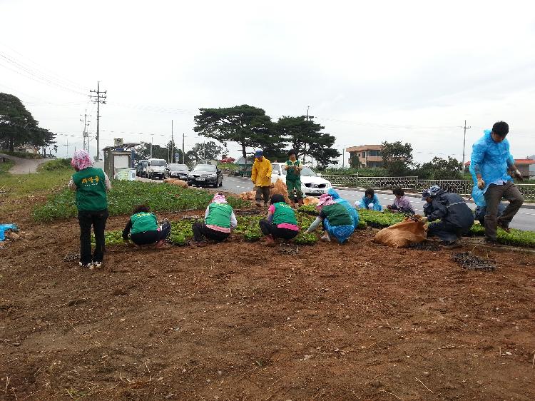 양도면_꽃식재1