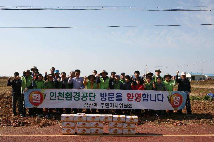 고구마수확행사3