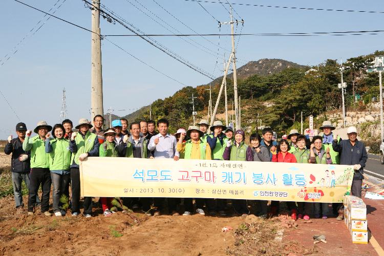 고구마수확행사4