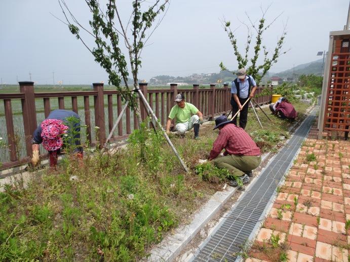 크기변경_IMG_0996