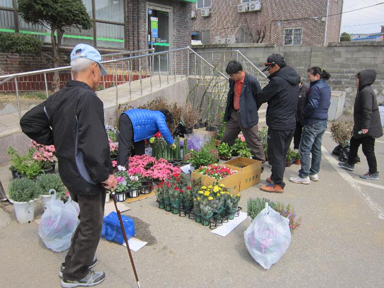 꽃판매2_(1)