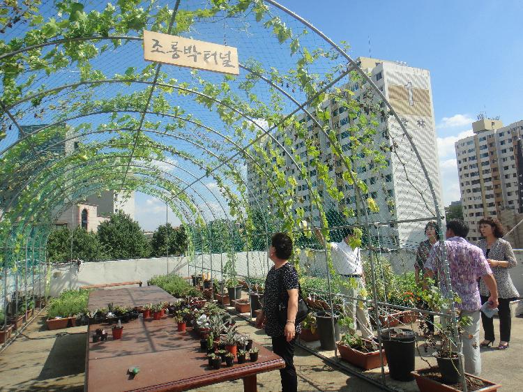 마장동방문_2013_08_13_(18)