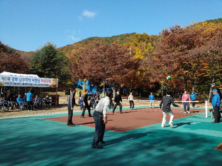 남부이장단_체육대회_2013_11_07_(18)