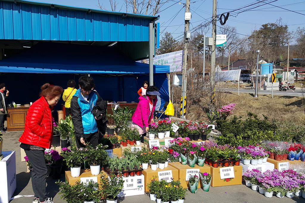 하점면_일일_화훼장터_사진