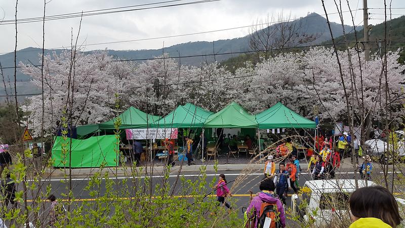 먹거리부스_운영_(1)