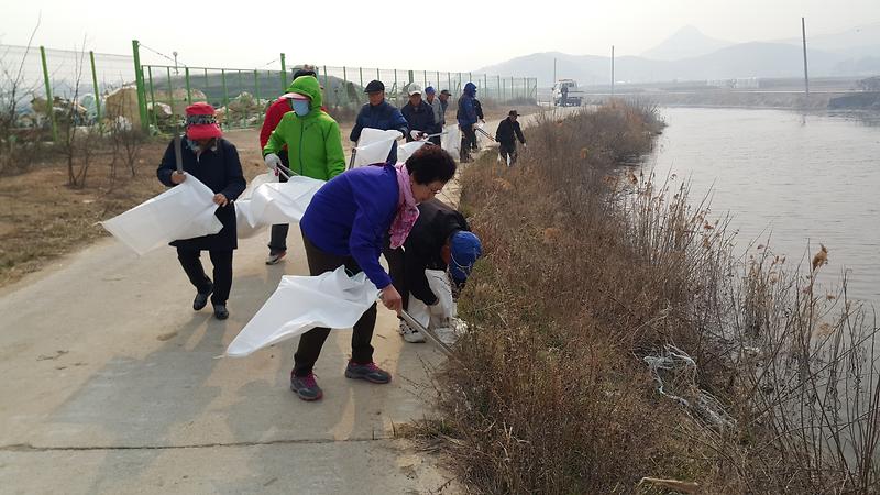 양도면_바르게살기위원회에서_자연발생_낚시터인_가능포_수로_주위_쓰레기를_수거하고_있다
