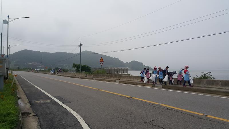 양도면_농가주부모임회원들이_해안도로를_청소하고_있다