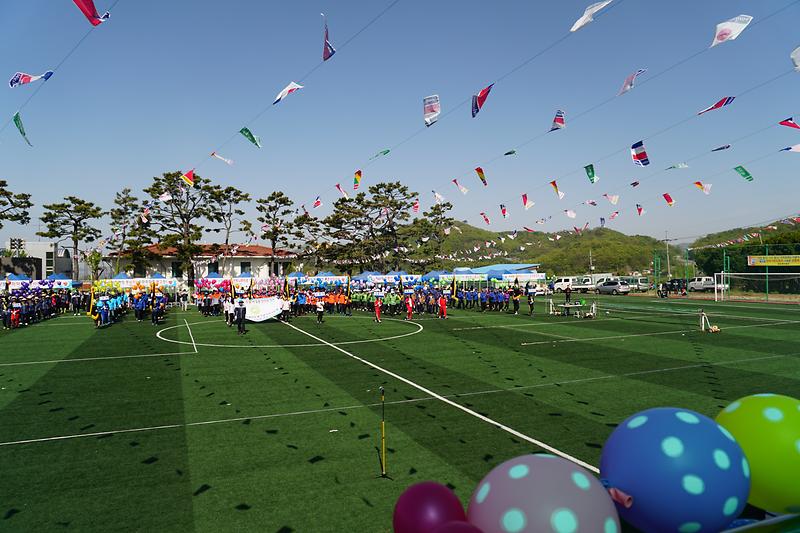 양도면민의_날_기념행사_각_리_선수단이_입장하고_있다