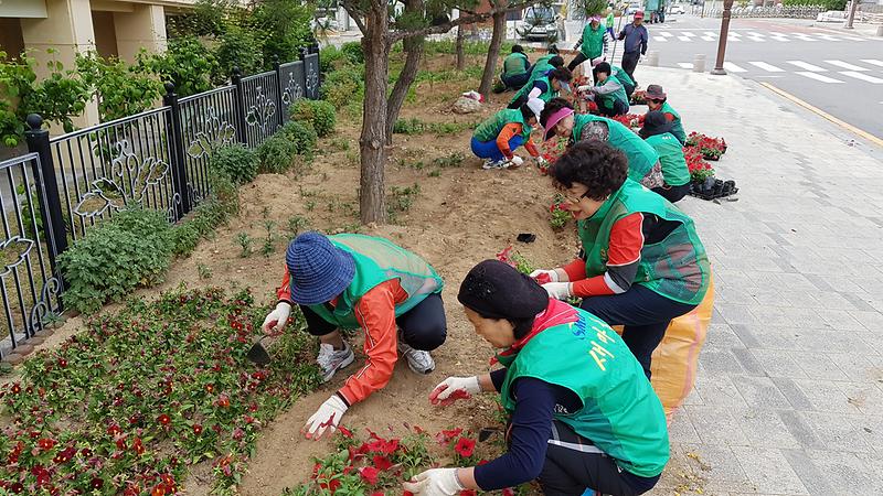 20170531_여름_꽃_식재