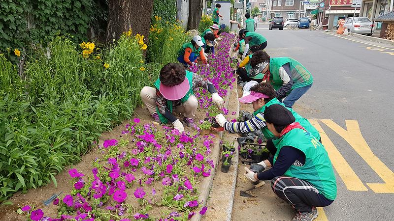 20170531_여름_꽃_식재_2