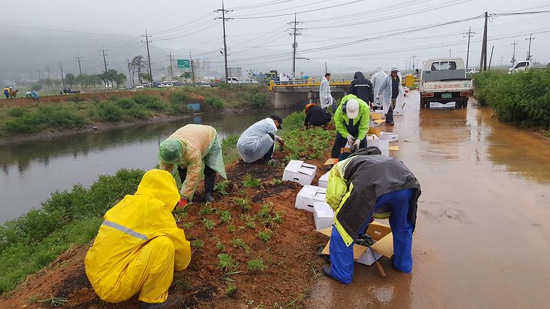 2018올해의_관광도시_활성화를_위한_삼거천_화단조성_2