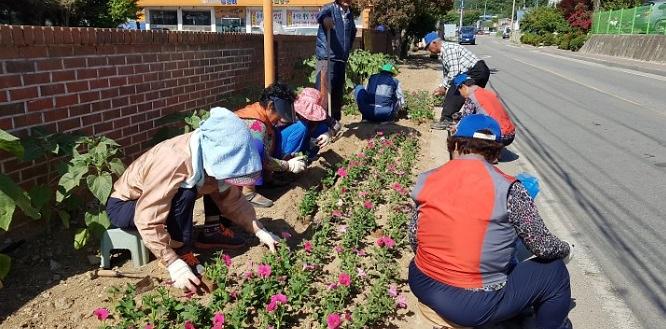 강화읍_바르게살기협의회_꽃식재